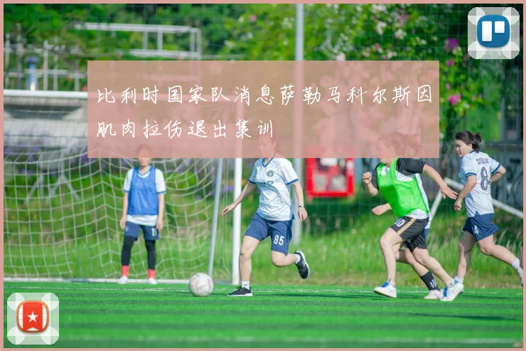 比利时国家队消息萨勒马科尔斯因肌肉拉伤退出集训