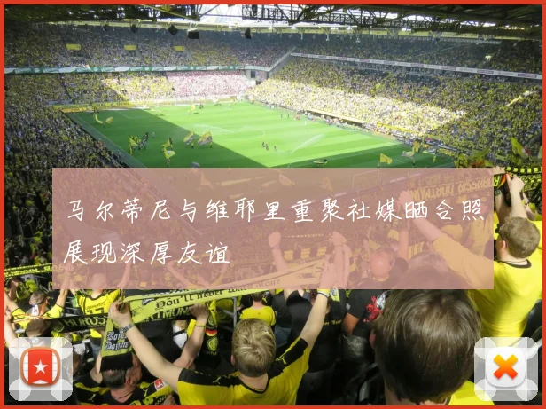 马尔蒂尼与维耶里重聚社媒晒合照展现深厚友谊