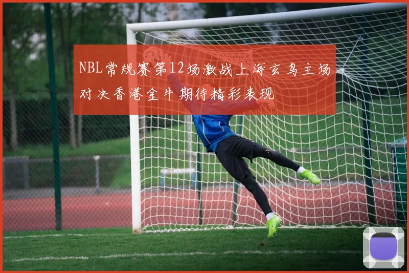 NBL常规赛第12场激战上海玄鸟主场对决香港金牛期待精彩表现